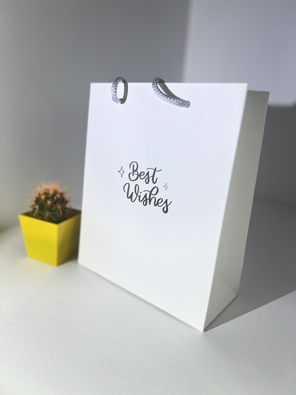 Подарунковий пакет білий "Best wishes" із срібним тисненням (24х20х9см) 1шт.
