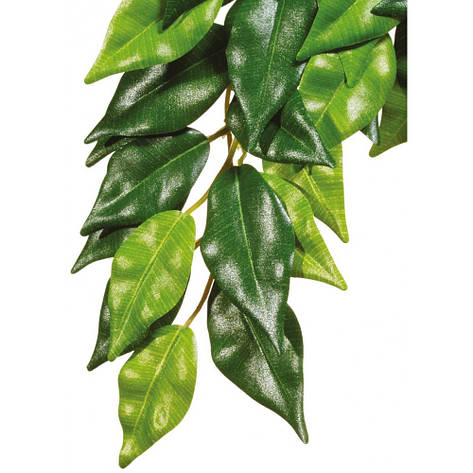 Рослина Exo Terra Ficus для тераріума середня 40 см, фото 1