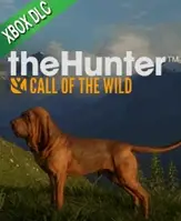 THEHUNTER: CALL OF THE WILD - BLOODHOUND XBOX🔑КЛЮЧ