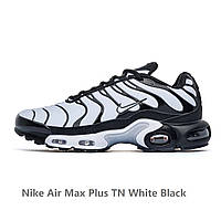 Кроссовки Nike Air Max Plus TN White Black