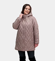 Жіноча демісезонна куртка Li-72 беж, розміри 54-70