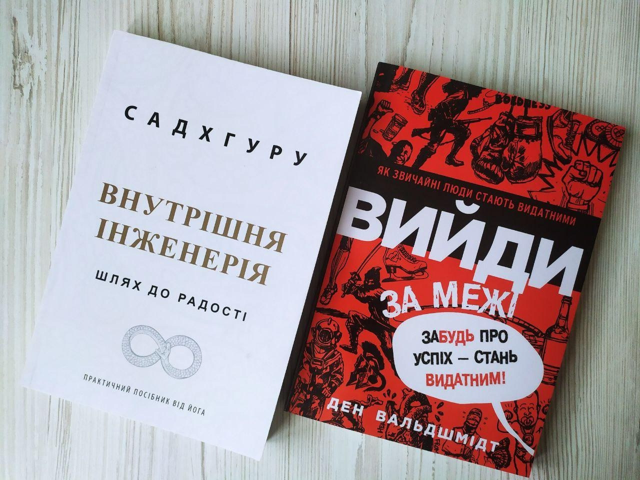 Комплект книг. Садхгуру. Внутрішня інженерія. Ден Вальдшмідт. Вийди за межі