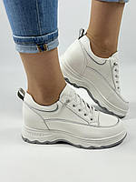 Prima D Arte Lonza. Кросівки жіночі. Натуральна шкіра. Розмір 39 41