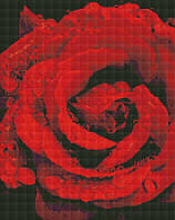 Алмазна мозаїка "Роза в діамантах" 40х50 см, у термопакеті, ТМ Ідейка, Україна