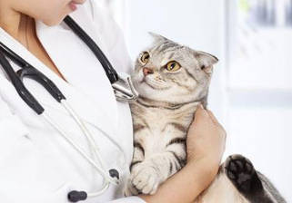 Натуральні добавки та засоби для сечостатевої системи