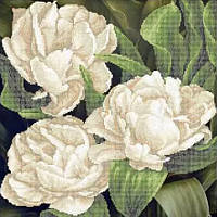 Схема для вишивки бісером "Білі махрові тюльпани"