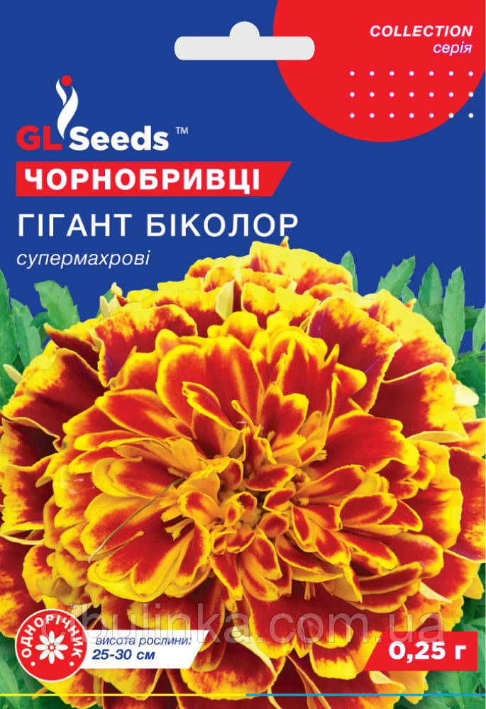 Чорнобривці Гігант Біколор GL Seeds 0,25 г, фото 1
