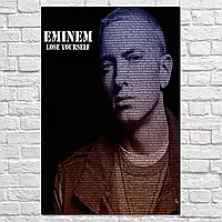 Плакат "Емінем, репер , Eminem, Slim Shady", 60×40см