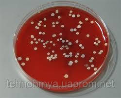 Агар Эндо: продажа, цена в Львове. Биохимия от "ТОВ "Технохімія ...