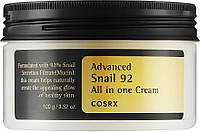 Багатофункціональний крем з муцином равлики COSRX Advanced Snail 92 All In One Cream 100ml