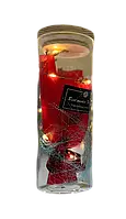Троянда в колбі з LED-підсвіткою Велика NoA52 червона