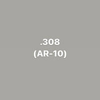 .308 (AR-10)