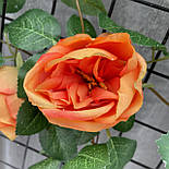 Ліана плетуюча троянда остин Люкс жовтогаряча 280 см, фото 2