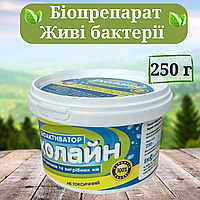 Біопрепарат для септиків, вуличних туалетів і вигрібних ям Еколайн 250 грам