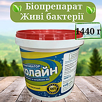 Биопрепарат для септиков, выгребных ям и уличных туалетов Эколайн 1440 грамм