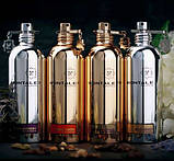 Montale Moon Aoud парфумована вода 100 ml. (Монталь Мун Ауд), фото 4