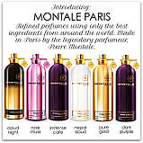 Montale Moon Aoud парфумована вода 100 ml. (Монталь Мун Ауд), фото 6