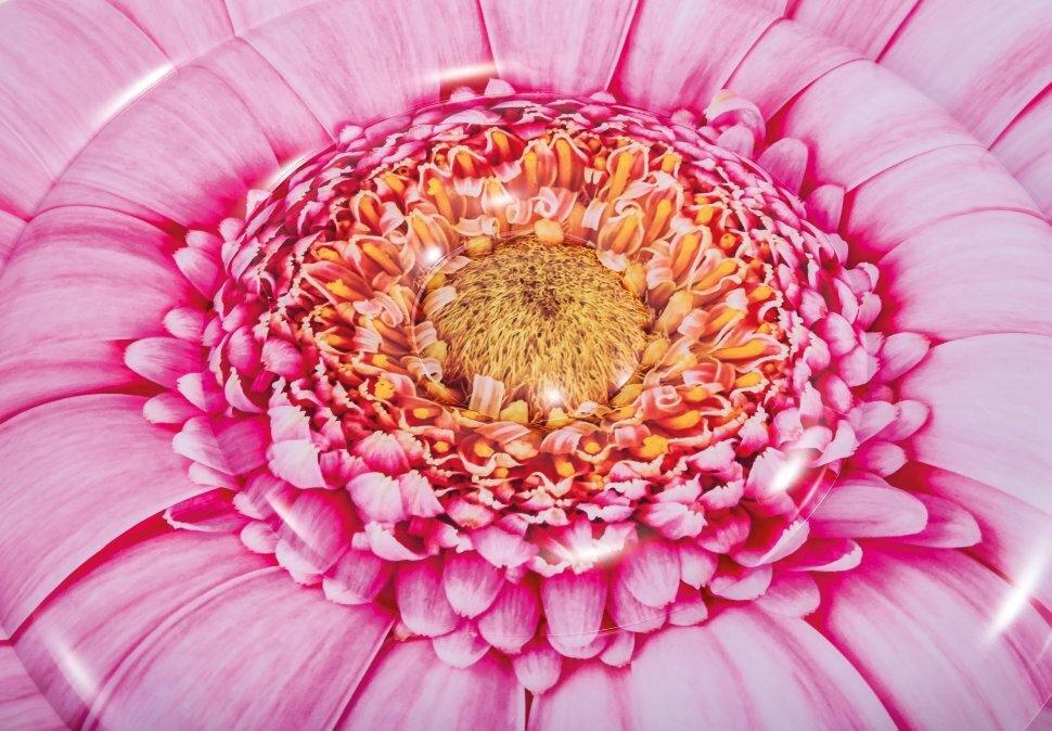 Плотик-матрас надувной Intex Розовый цветок 142 см (58787) LD, код: 2658549 - фото 4 - id-p2110802511