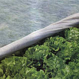 Агроволокно біле 40 г/м2 3.2 м х 100 м, фото 4