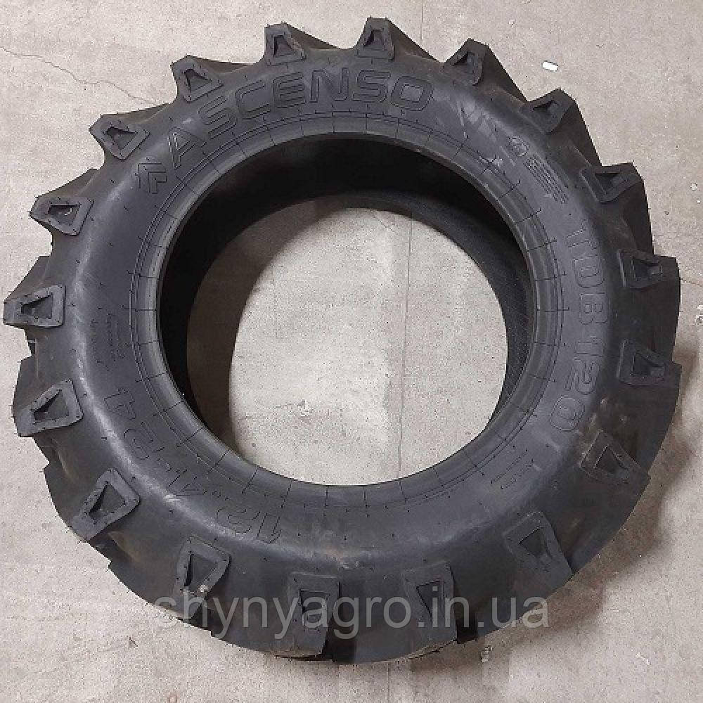 Шина 12.4-24 TDB 120 - Ascenso Індія, фото 1