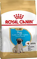 Сухой корм Royal canin pug puppy для щенков породы Мопс 1.5 кг