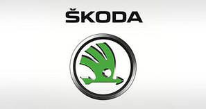 Skoda Ковпачки, брелоки, емблеми