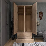 Шафа дводверна Лайт ШЛ-2 з шухлядами, Дуб Сонома, фото 3