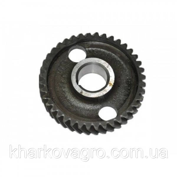 Шестерня валу розподільного МТЗ, фото 1