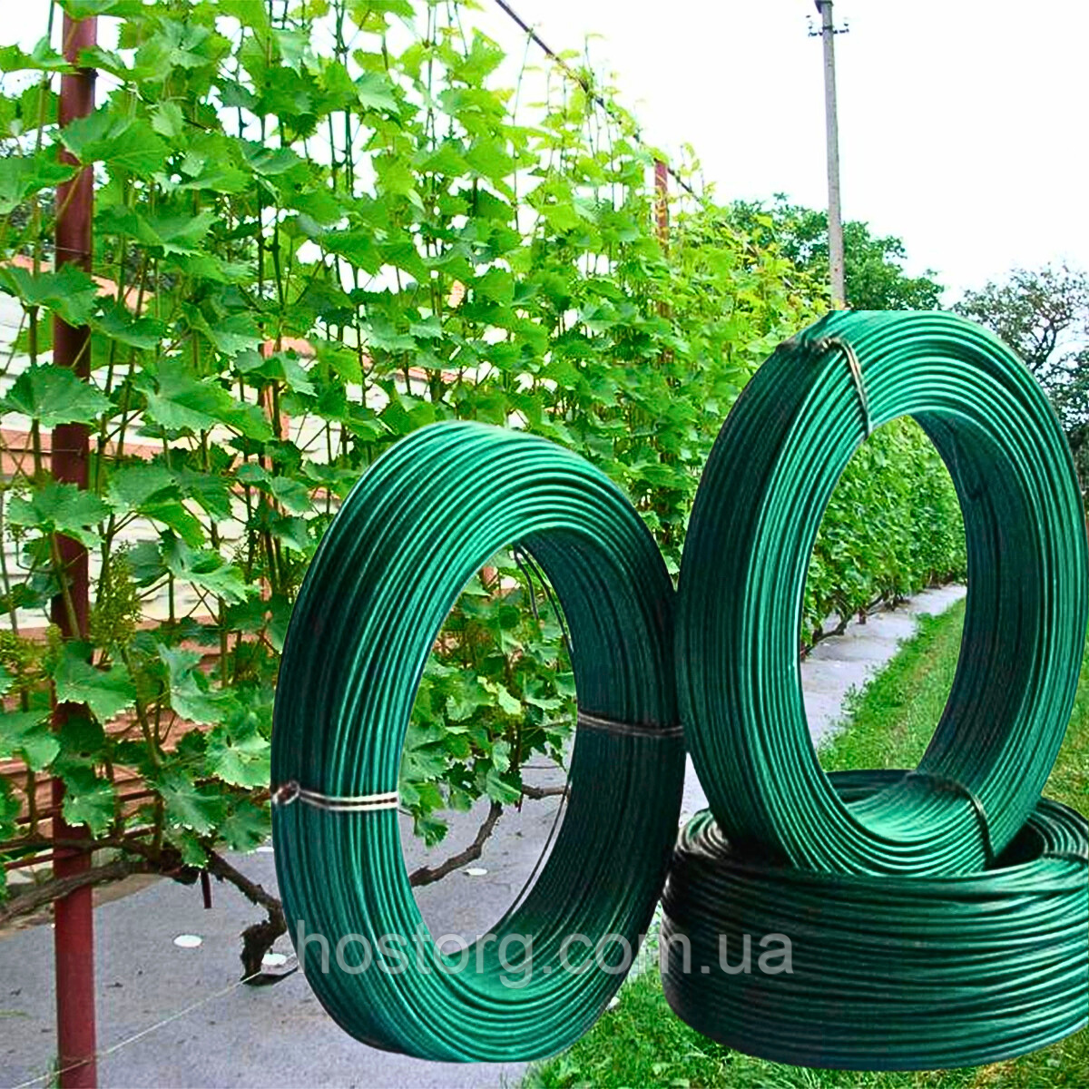 Шпалерний дріт у ПВХ покритті 2 / 3.5 мм 100 м для виноградної лози (виробництво Польща)