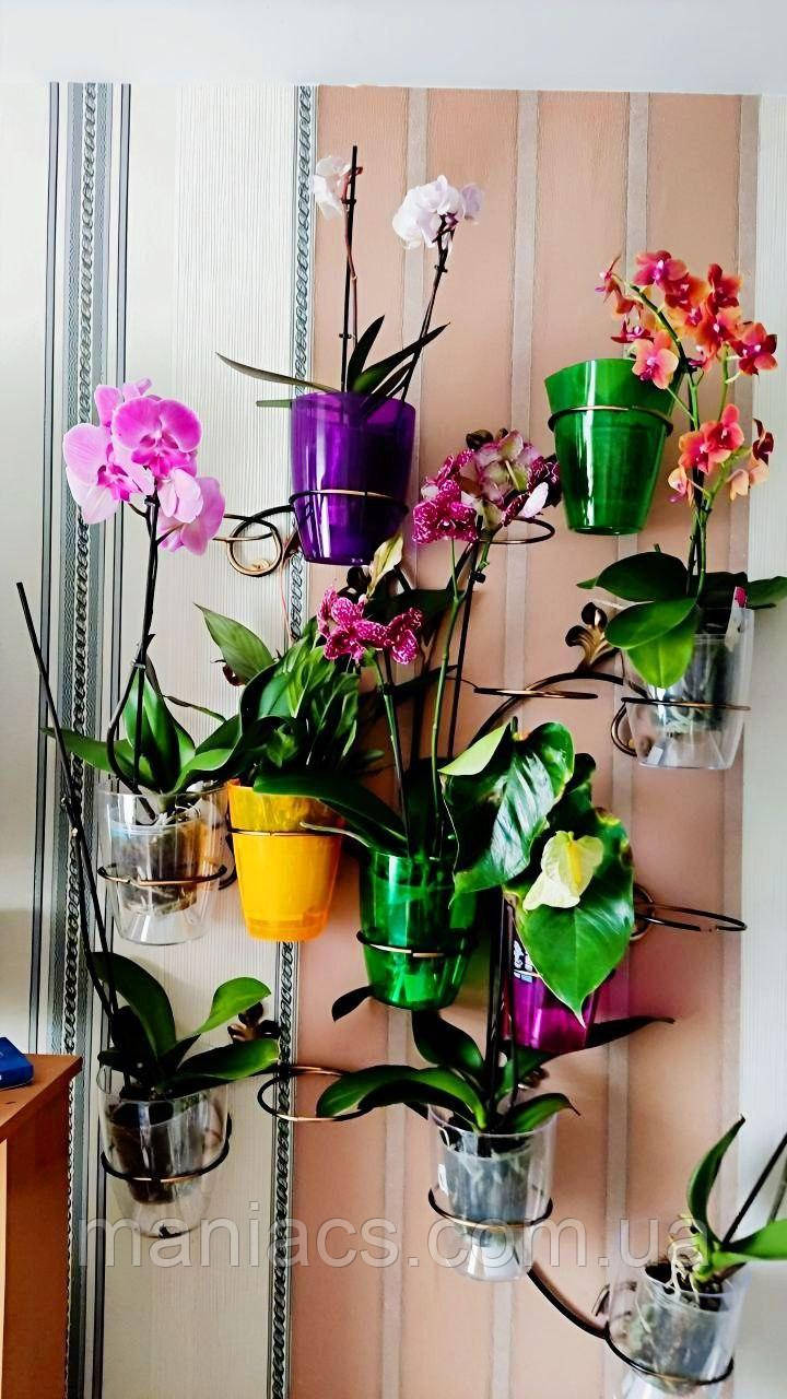 Гілка-2, підставка для квітів на 15 кілець, фото 1