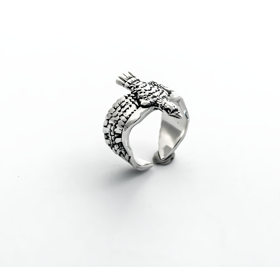 Кільце Ворона, фото 1