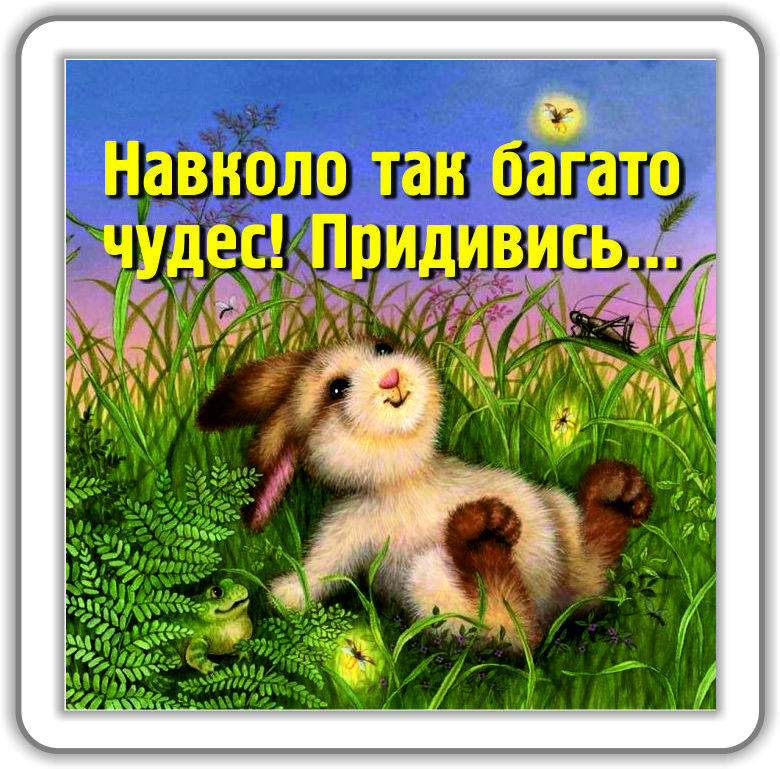 Магніт: Навколо так багато чудес! Придивись..., фото 1