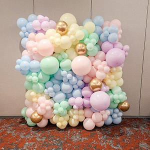 Стіна з кульок Макарун (338 кульок)