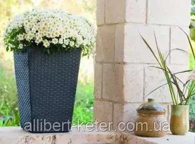 Прямокутний горщик RATTAN PLANTER S 23,6L графіт (Keter) - фото 3 - id-p2111200223