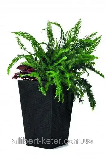 Прямокутний горщик RATTAN PLANTER L 144,8L графіт (Keter) - фото 1 - id-p2111200225