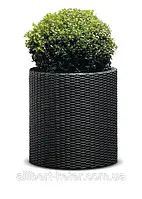 Круглий горщик CYLINDER PLANTER M графіт (Keter)