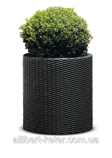 Круглий горщик CYLINDER PLANTER M графіт (Keter) - фото 1 - id-p2111200227