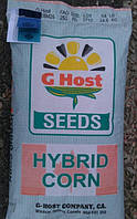 Семена подсолнечника Канада G Host Smash (GS 72900) (ДжиХост) Под гранстар