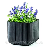 Квітковий горщик CUBE PLANTER M графіт (Keter)