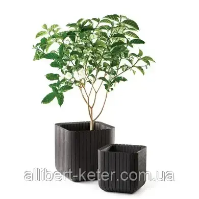 Квітковий горщик CUBE PLANTER M графіт (Keter) - фото 2 - id-p2111200232