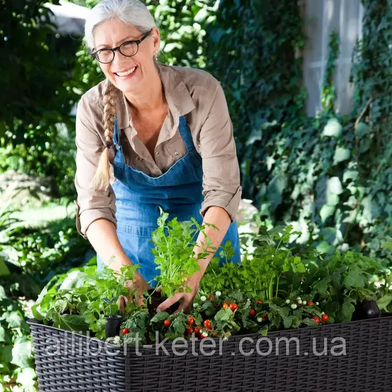 Подовжений горщик для квітів, рослин, трав та овочів EASY GROW коричневий (Keter) - фото 2 - id-p2111200234