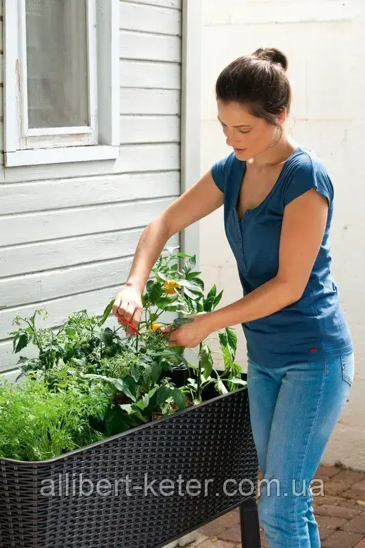 Подовжений горщик для квітів, рослин, трав та овочів EASY GROW коричневий (Keter) - фото 3 - id-p2111200234