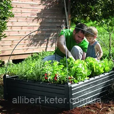 Функціональна грядка GARDEN BED графіт (Keter) - фото 2 - id-p2111200237