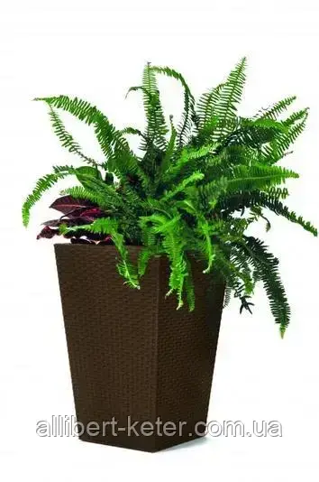 Прямокутний горщик RATTAN PLANTER S 23,6L темно-коричневий (Keter) - фото 1 - id-p2111200641