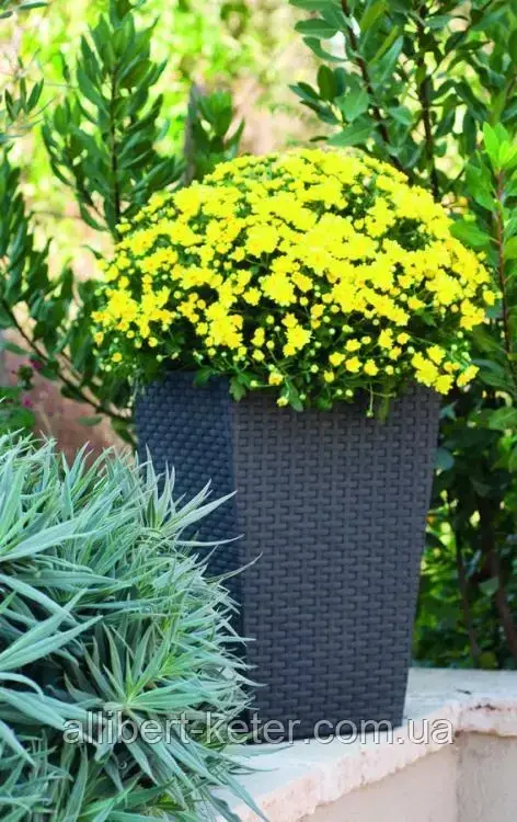 Прямокутний горщик RATTAN PLANTER S 23,6L темно-коричневий (Keter) - фото 5 - id-p2111200641