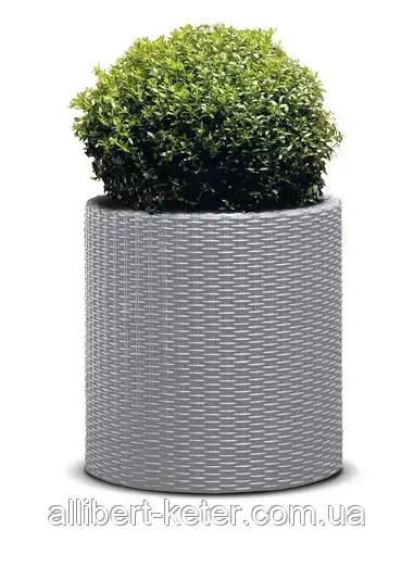 Круглий горщик CYLINDER PLANTER L графіт ( Keter ) ( Keter Cylinder Planter ) горщик для квітів Keter - фото 2 - id-p2111200647