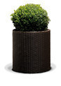 Круглий горщик CYLINDER PLANTER L сірий (Keter) - фото 2 - id-p2111200649