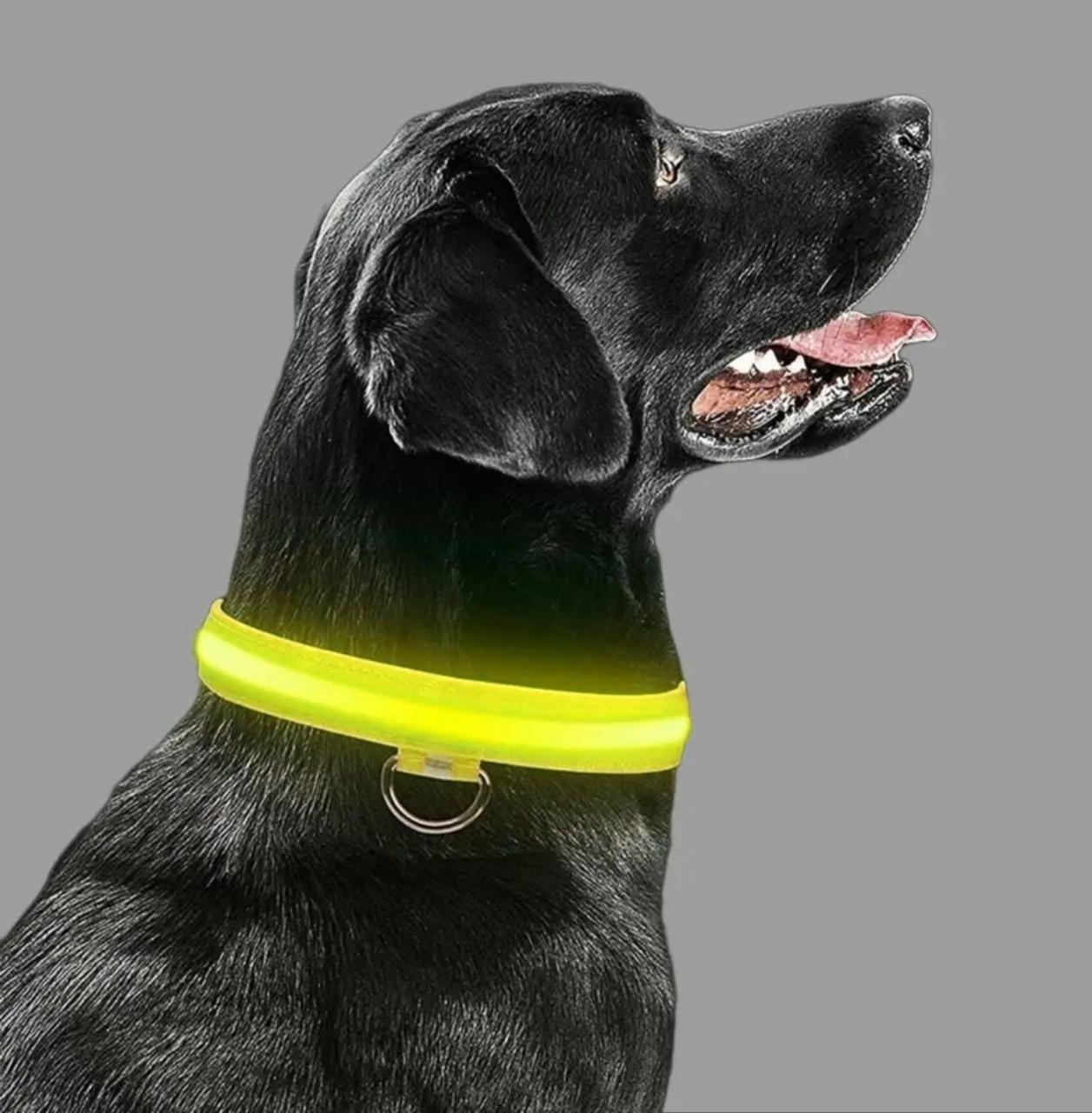 Світиться LED нашийник для собак і котів жовтий