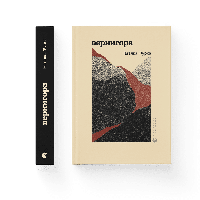 Книга Вернигора. Автор Наталья Фурса. Издательство Старого Льва