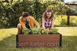 Квітковий горщик, грядка для рослин Keter Maple Trough (Garden Bed)